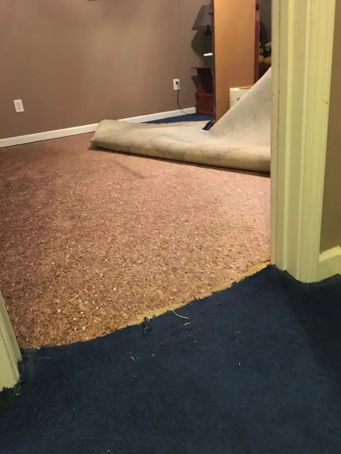 Carpet pad removal revealing water damage during Drying & Dehumidification in Meraux