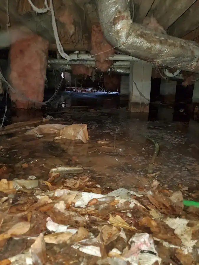 Crawl space flood assessment for Commercial Water Damage Restoration in Meraux