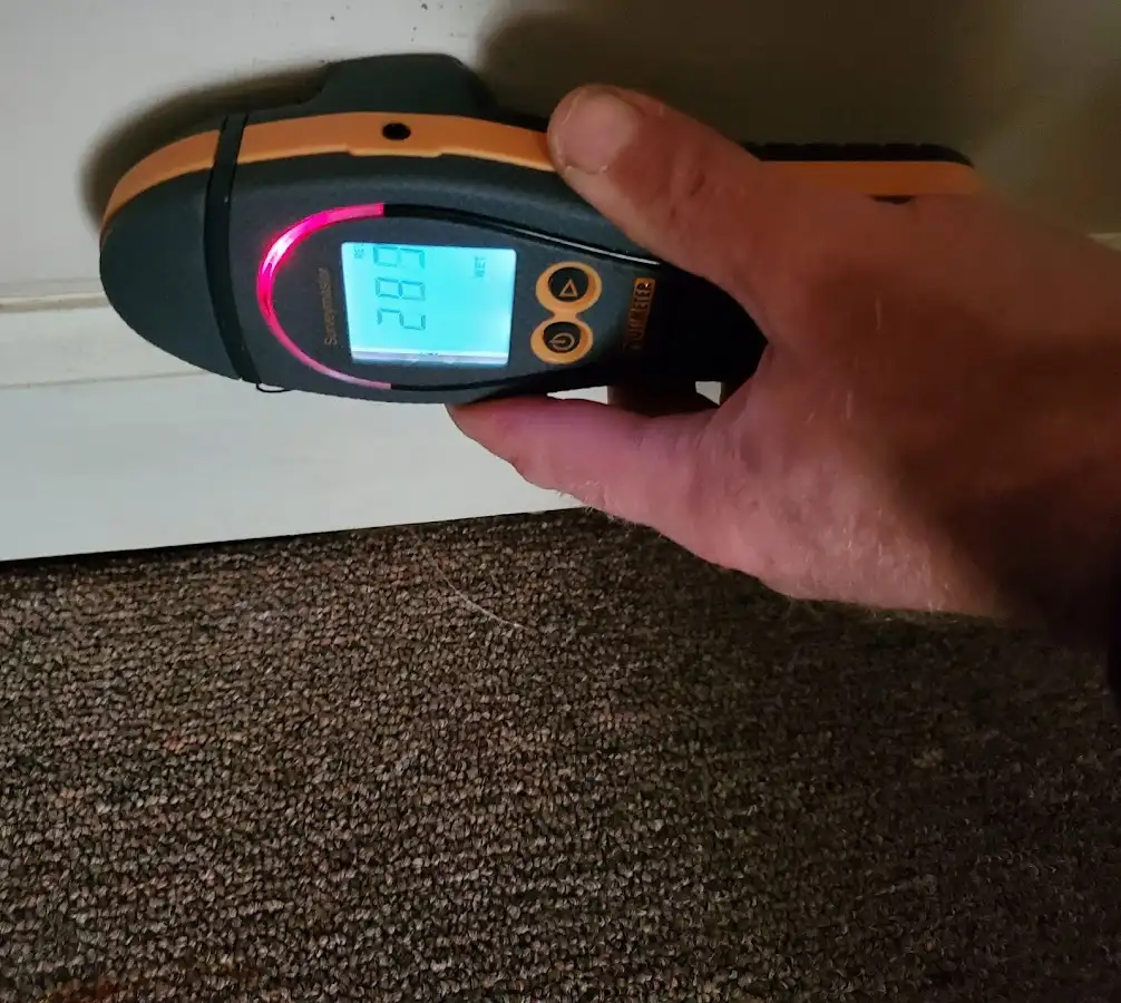 Moisture detection at baseboard during Sewage Cleanup & Sanitation in Meraux